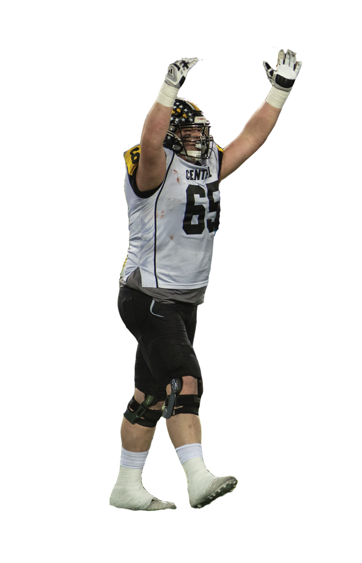 bingham-cutout.jpg
